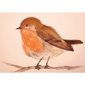 Kaart - Roodborstje