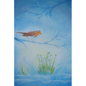 Kaart - Roodborstje met Sneeuwklokjes