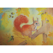 Kaart - Eekhoorn