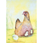Kaart - Kip met Kuikens