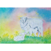 Kaart - Schaap met Lammetjes