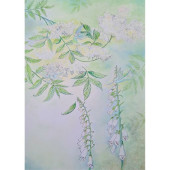 Kaart - Vlierbloesem en Vingerhoedskruid