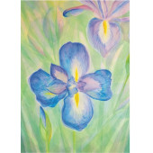Kaart - Iris