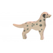 Dalmatiër
