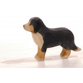 Berner Sennenhond
