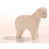 Schaap - Staand