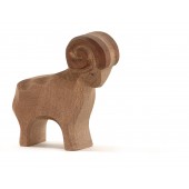 Ram - Bruin