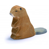 Bever - Zittend