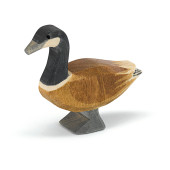 Canadese Gans - Staand