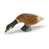 Canadese Gans - Lange Hals