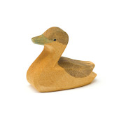 Canadese Gans - Klein