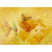 Kaart - Zomer - Sylphen Helpen De Slaapmutsjes - Eschscholzia