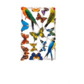 Poëzieplaatjes - Vlinders met Vogels
