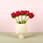 Wolvilten Tulp - Pien