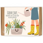 Blossombs - Kadodoos Bedankt lieve juf - 7 bloembommetjes