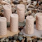 Let's Roll - Rollers - Vijverdieren