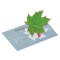 Zonnedrukpapier
