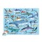 100-delige Puzzel - Haaien (Sharks)