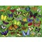300-delige Puzzel - Vlinders (Butterflies)