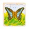 Lagenpuzzel - Levenscyclus Vlinder