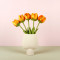 Wolvilten Tulp - Olivia