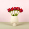 Wolvilten Tulp - Pien