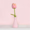Wolvilten Tulp - Romy