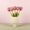 Wolvilten Tulp - Romy