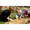 Let's Investigate - Voetafdrukken Boerderijdieren